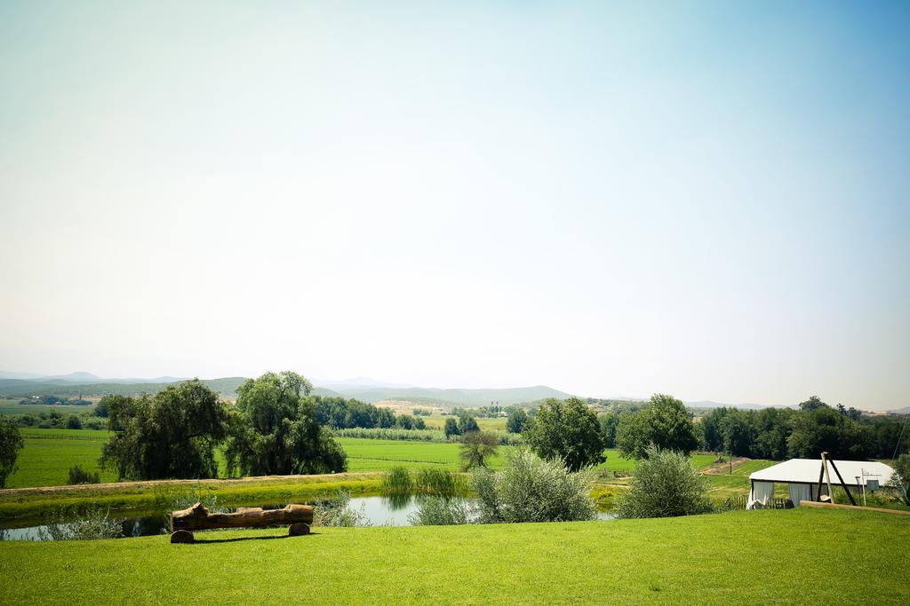 Surval Boutique Olive Estate Villa Oudtshoorn Bagian luar foto