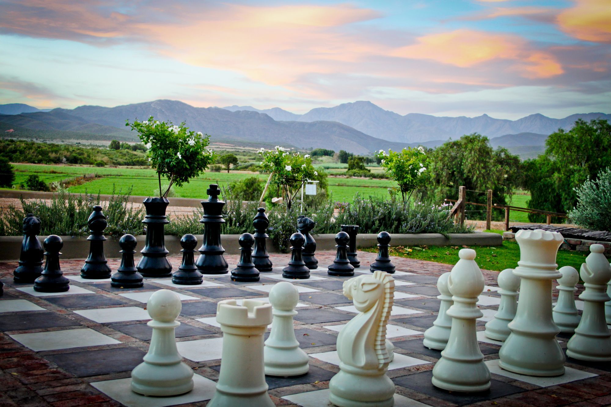 Surval Boutique Olive Estate Villa Oudtshoorn Bagian luar foto