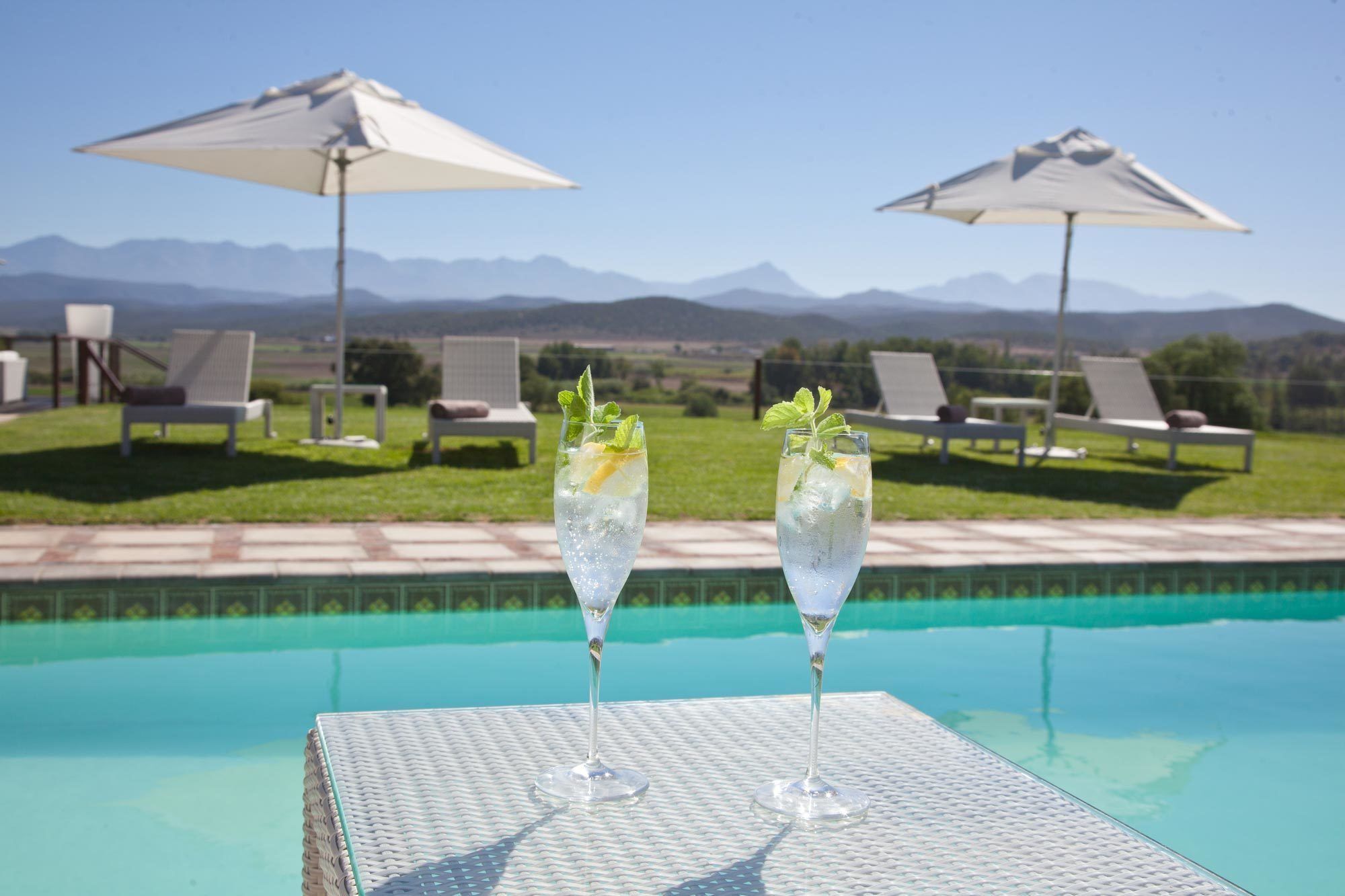 Surval Boutique Olive Estate Villa Oudtshoorn Bagian luar foto